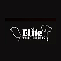 Elite White Goldens Blog
