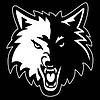 Minnesota Timberwolves