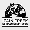 Cain Creek German Shepherds Blog