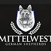 Mittlewest German Shepherd Blog