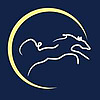 The Sweaty Equestrian Blog