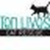 Ten Lives Cat Rescue Blog
