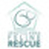 Seattle Area Feline Rescue Blog