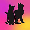 Karma Cat Rescue Society Blog