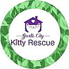 Garlic City Kitty Rescue Blog