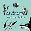 Tantramar Nature Talks
