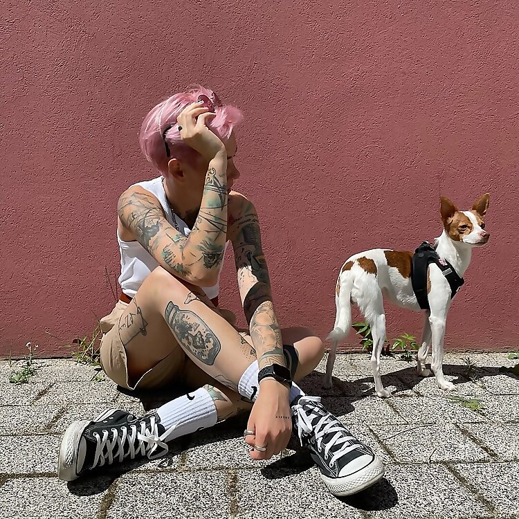 Vansistic