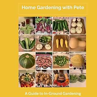 Pete