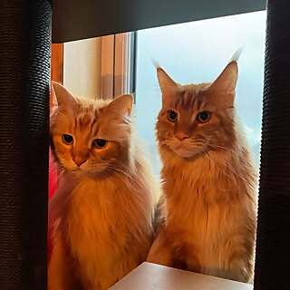 Ares and Apollo