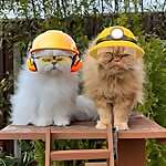Teddie & Casper
