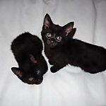Minnie & Marvin