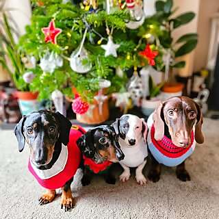 Otis, Amos, Stanley & Walter