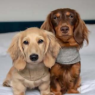Rocket & Mars
