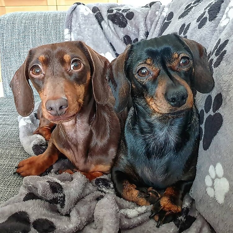 Hattie & Meggie
