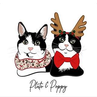 Pluto & Poppy 