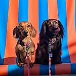 Molly & Margot
