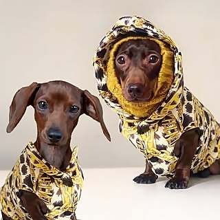 Pop Sausage & Brown Sugar