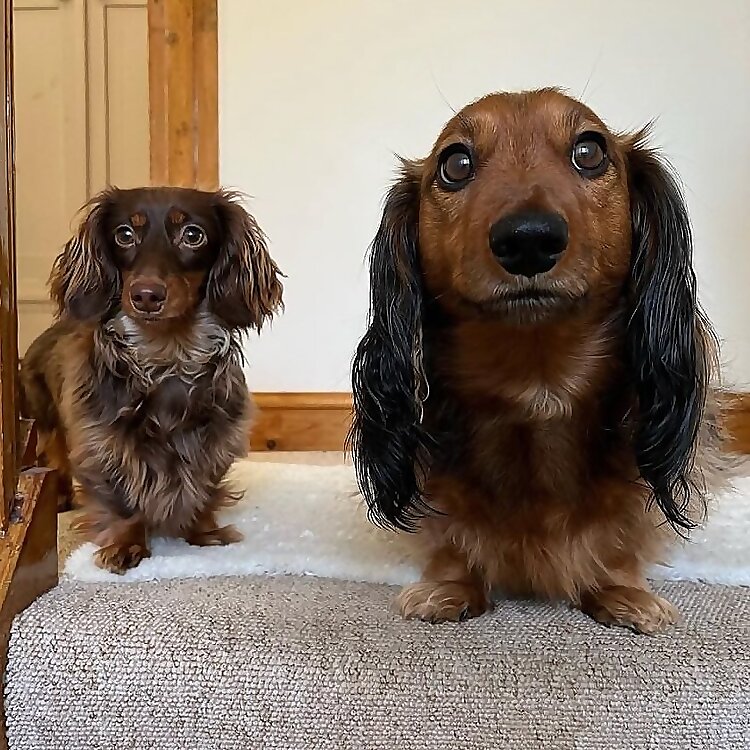Wilbur & Daphne