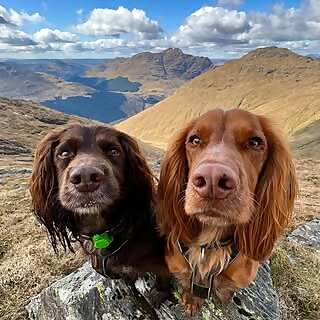 Hollie, Hugo & Spencer