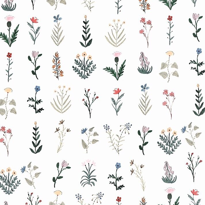 Sara Boccaccini Meadows