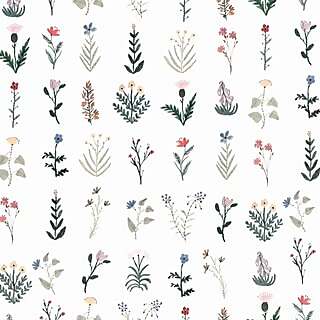 Sara Boccaccini Meadows