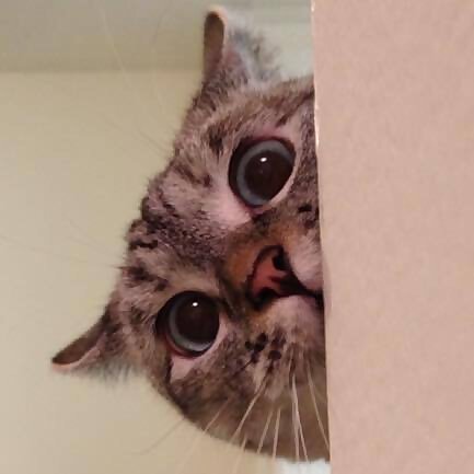 Nala