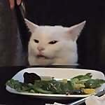 Smudge - Table Cat