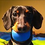 Crusoe