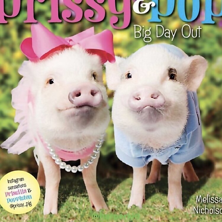 Priscilla & Poppleton