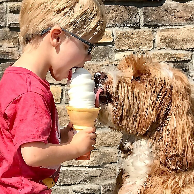 Reagandoodle