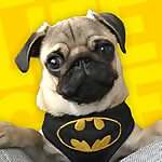 Batpug