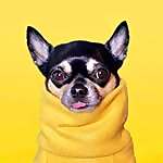 Dolly Pawton