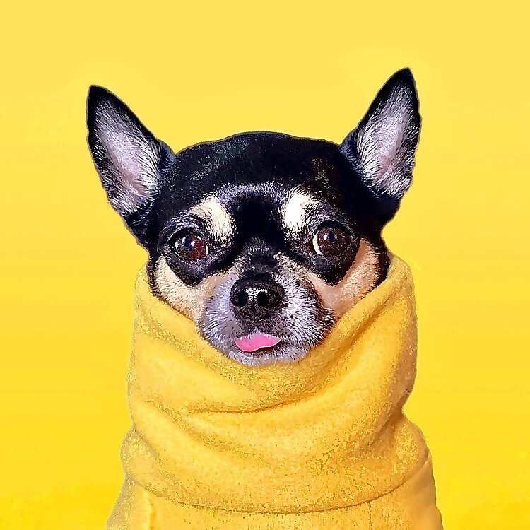 Dolly Pawton