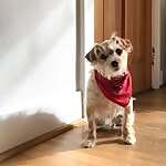 Aaron Durand