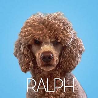 Ralph