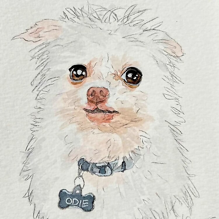 Odie