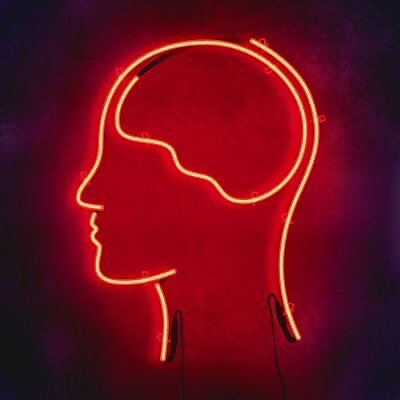 Destin Wilson Sandlin