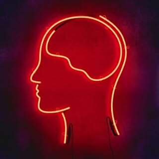 Destin Wilson Sandlin