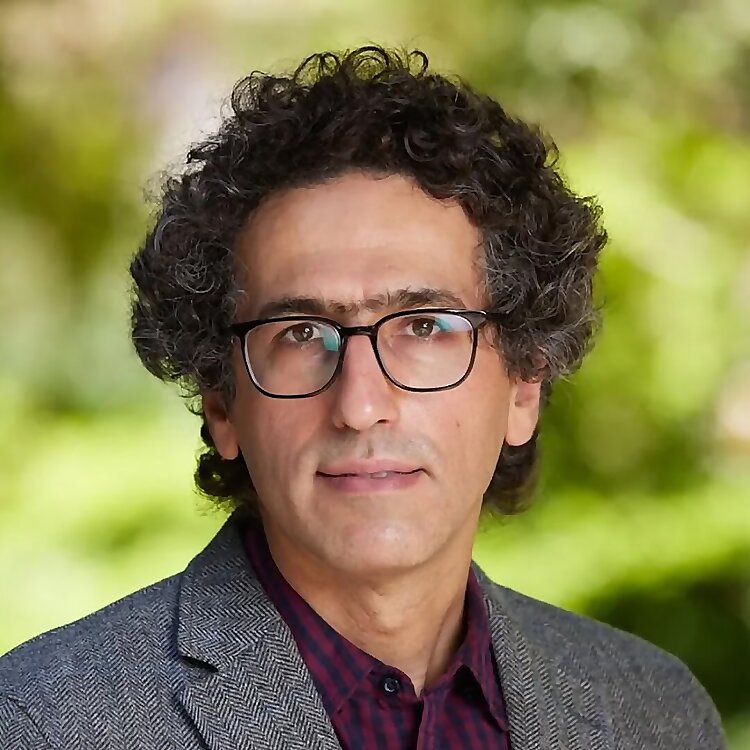 Babak Tafreshi