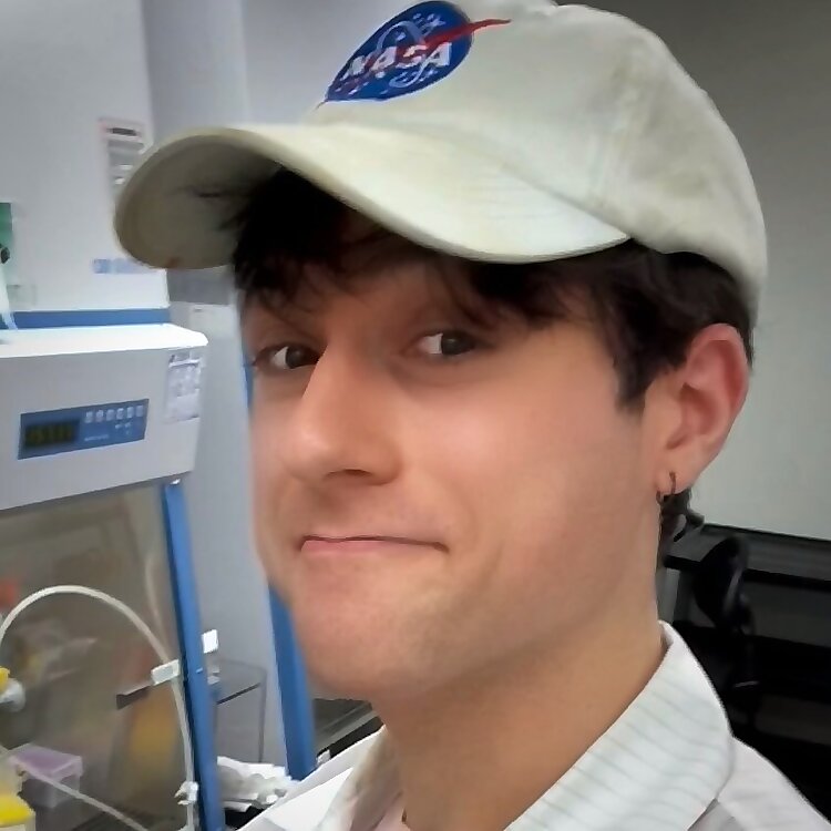 Daniel Toker