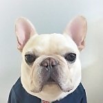 SirCharlesBarkley