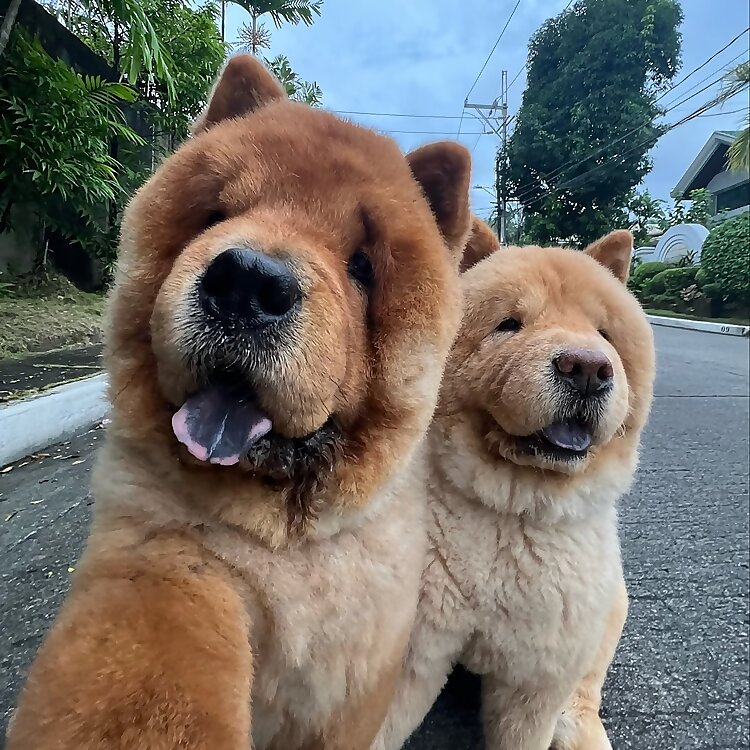 Churro & Toffee