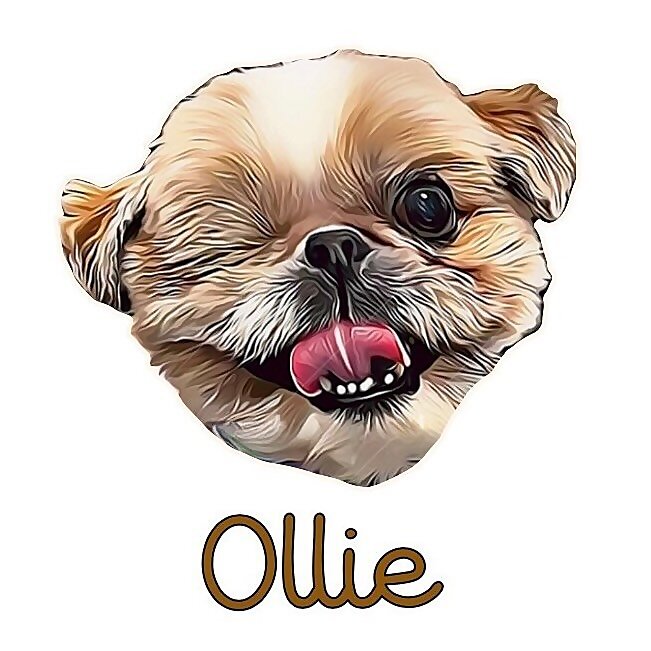 Ollie