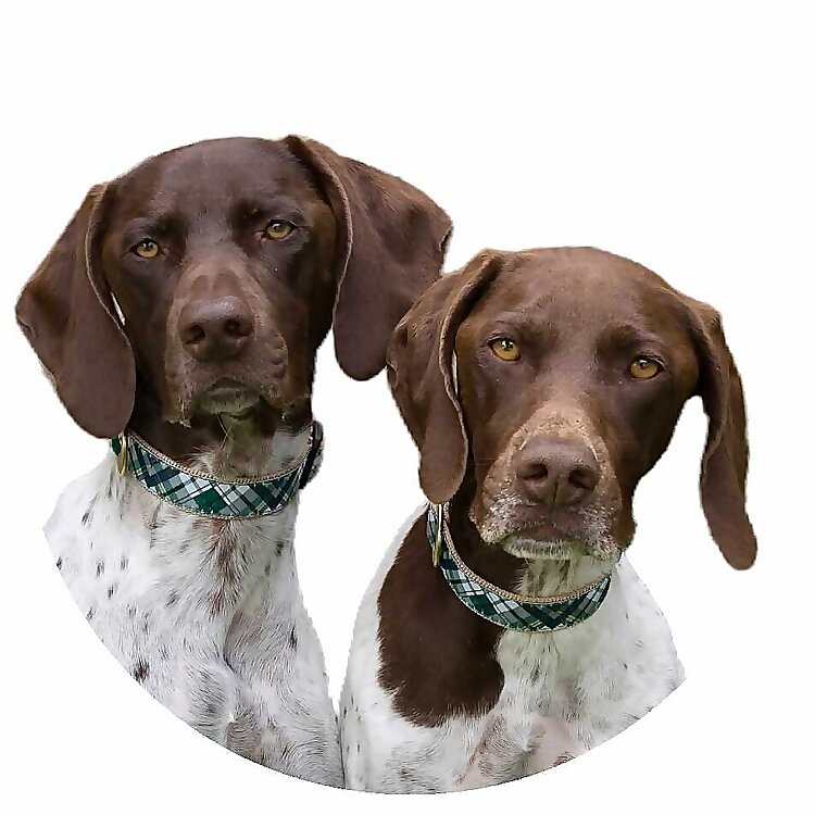Maddi & Sophie