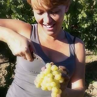 Marilena Barbera