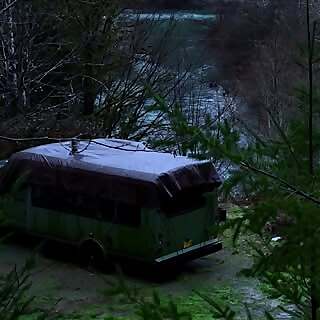 Kae,alex, Kaya & Bubba