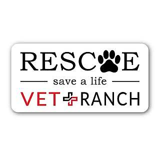 Dr. Matt, Karri, Wendy and Ali