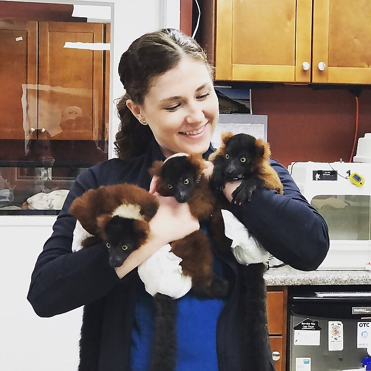 Dr. Lauren Thielen