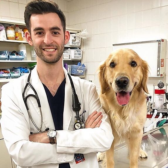 Dr. Ross Bernstein