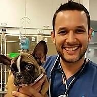 Dr Gerardo Poli
